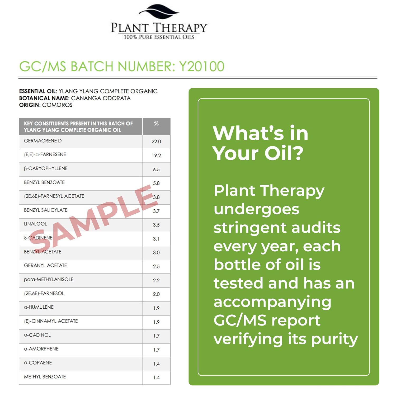 Plant Therapy Tea Tree Organic Essential Oil 100% Pure, USDA Certified Organic, Undiluted, Natural Aromatherapy, Therapeutic Grade 30 mL (1 oz): Beauty