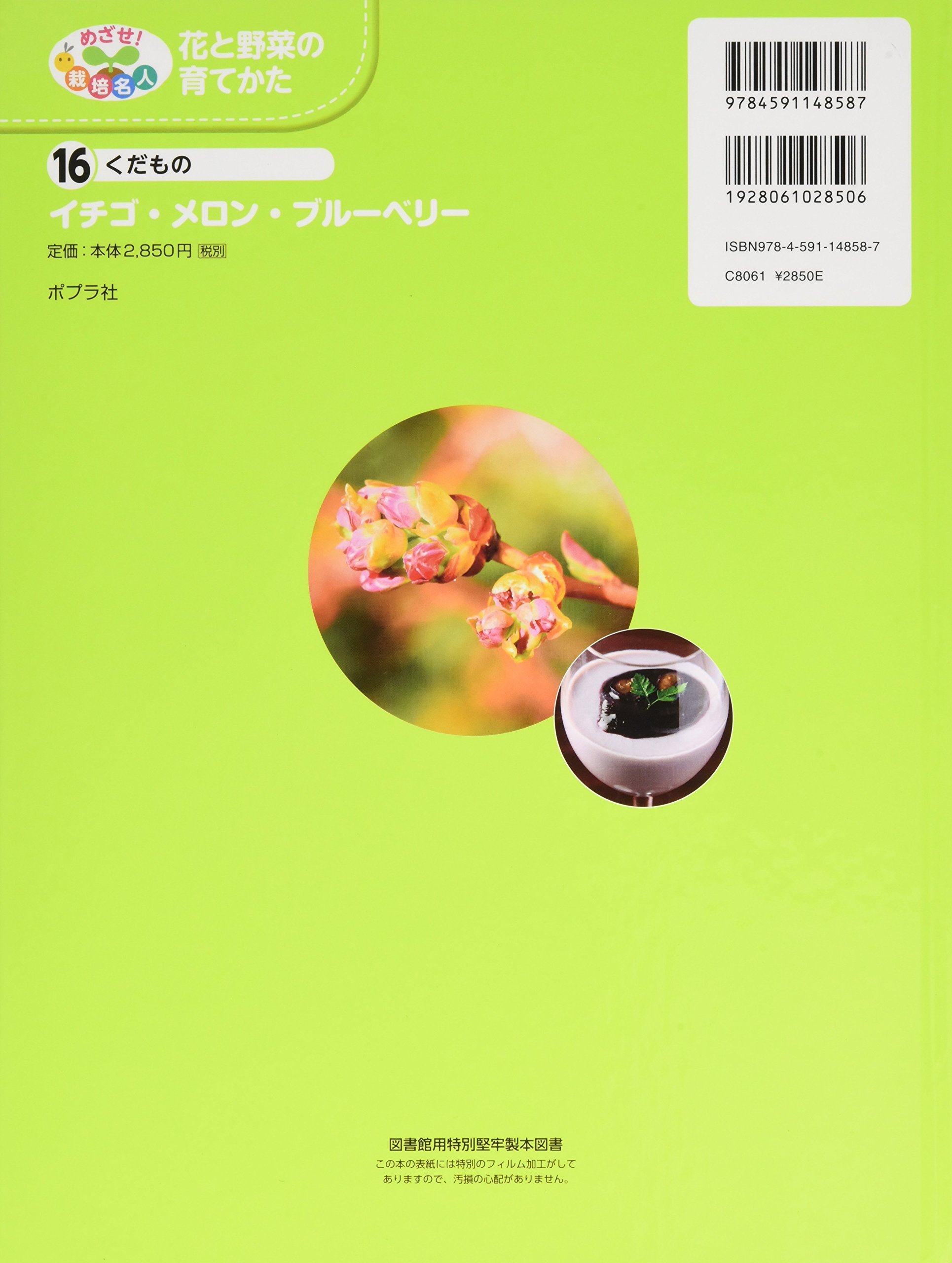 くだもの イチゴ メロン ブルーベリー めざせ 栽培名人 花と野菜の育てかた 日本農業教育学会 日農教 本 通販 Amazon