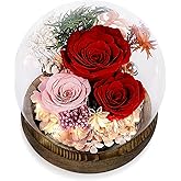 Luxbrand Preserved Flower for Delivery Prime Valentine Gift for Women, Birthday Forever Red Rose Flower Fresh Bouquet, Unique Eternal Flower Gift for Mom Grandma Wife Valentine's Day Gift