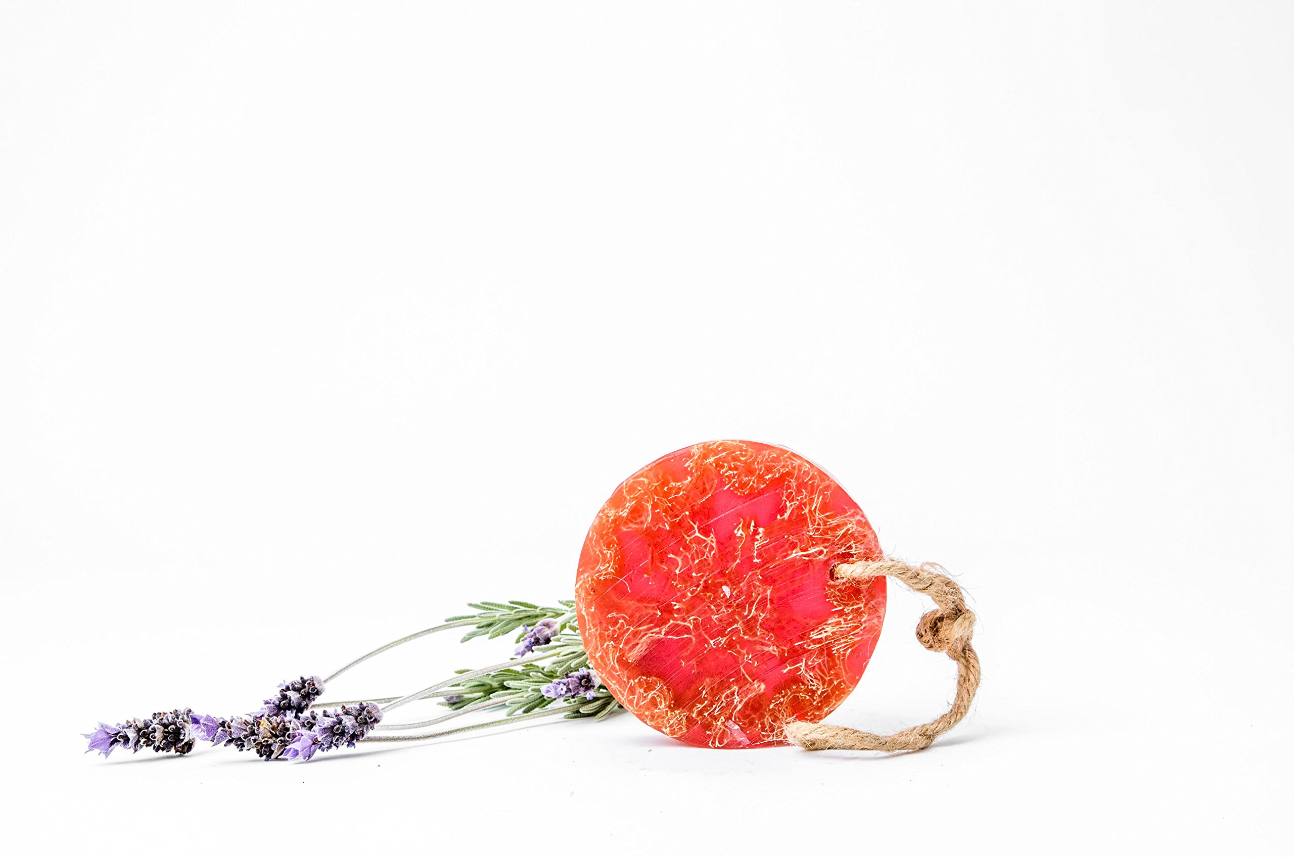 Reveal Naturals Citrus Orange Loofah Sponge Body Soap