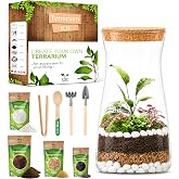 PYEF CRAFTS Terrarium Kit for Plants DIY | Starter Pack &ndash; Closed Ecosystem &ndash; 34 fl oz Glass &ndash; Succulents, Air Plants, Bonsai, Indoor Plants &ndash; (Plants Not Included)