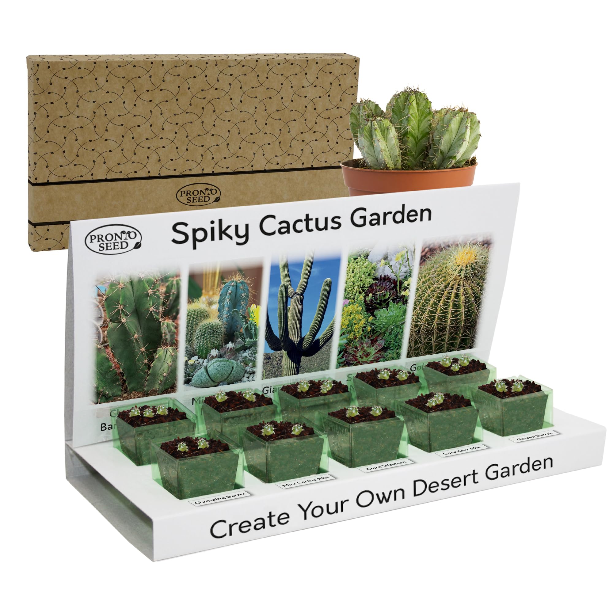 Pronto Seed Grow Your Own Cactus Kit with 5 Seeds Varieties - Indoor Growing Set with Sustainable Packaging Display - Gift for Women, Men - Beginner-Friendly (Cactus Kit)