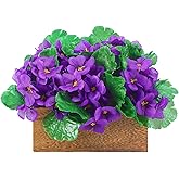 Suncalla 6 Pack Purple African Violet Artificial Silk Flower Bushes Individual Artificial Violet Flowers Houseplant(Purple)