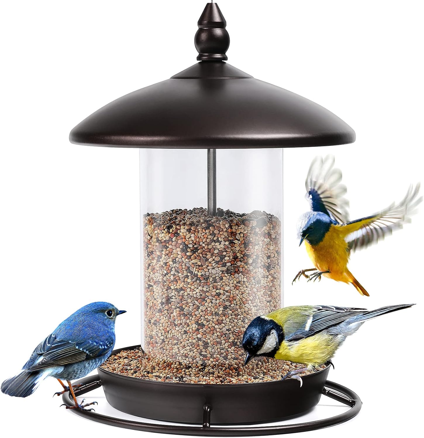Backyard Birding & Wildlife - Bird Feeder for Outside Hanging, Outdoor Transparent Bird House, Sun-Proof and Rainproof, Decorative & Ornamental Wild Bird Feeder for Garden Yard