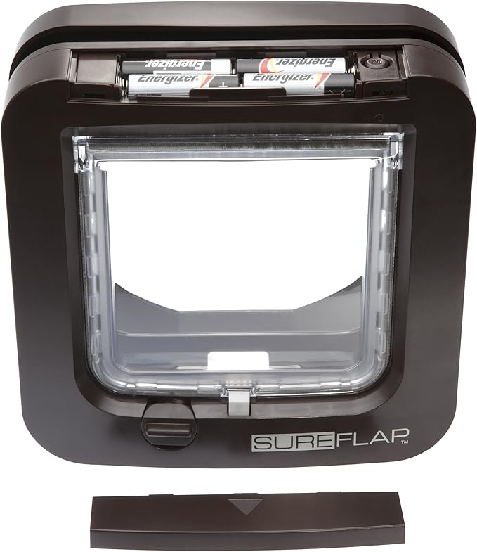 gray shar pei puppies for sale