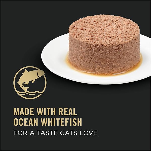 AMERICAN DISTRIBUTION PRO PLAN WHITE FISH CAT FOOD, 3 OZ