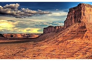 SUZM Reptile Habitat Background, PVC Static Cling Terrarium Background for Amphibian Marine Life, Poster Stickers