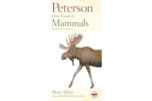 Peterson First Guide to Mammals of North America