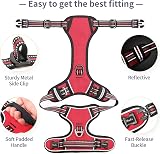 HEELE Dog Harness No-Pull Adjustable Reflective Oxford XL Red view 5