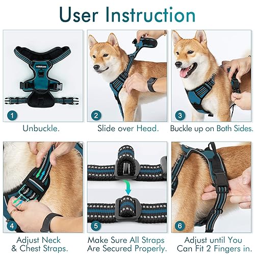 rabbitgoo Dog Harness No Pull with Leash Clips, Adjustable Soft