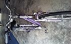 Amazon.com : Diamondback Bicycles Women's Vital 2 Complete Hybrid Bike ...