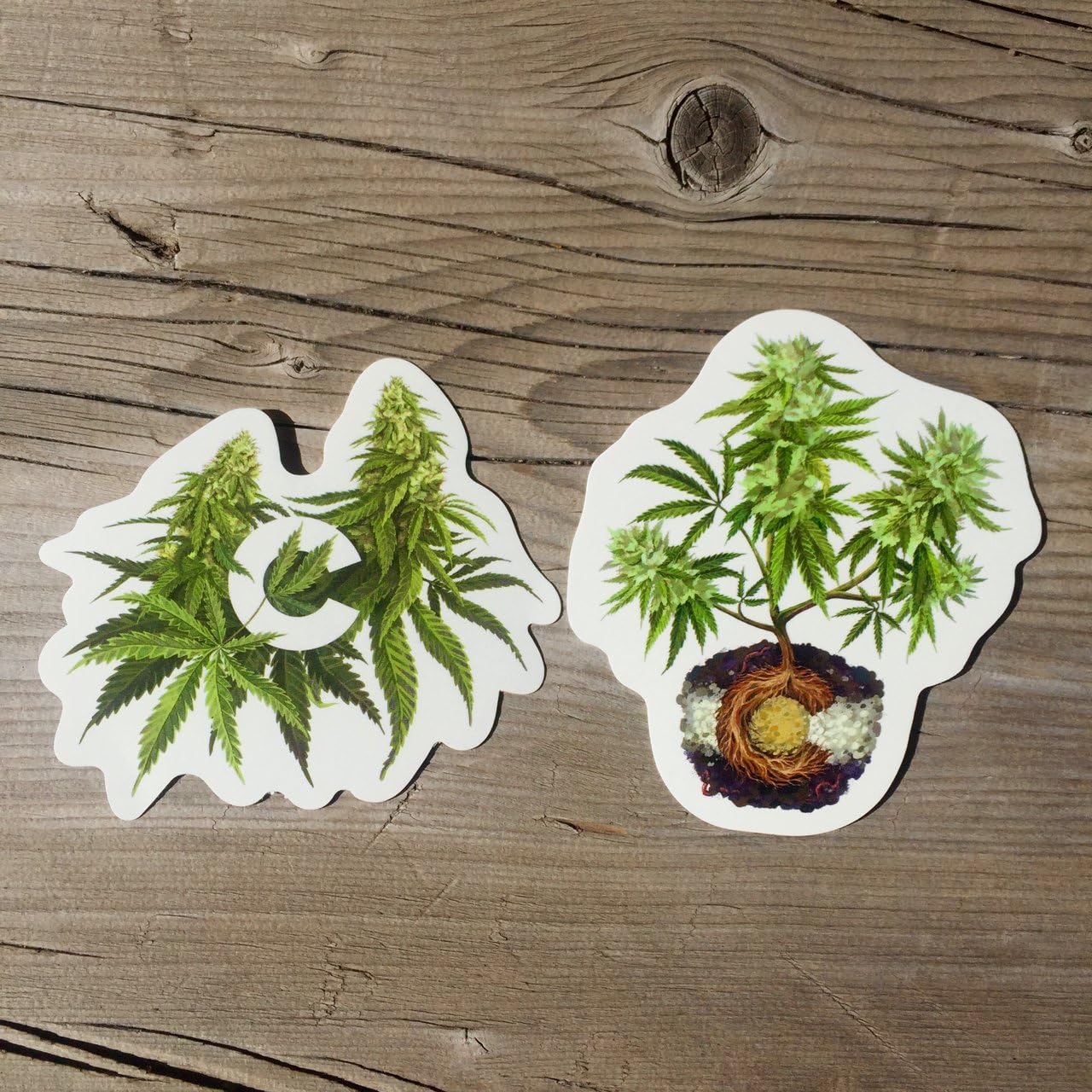 Colorado Weed Sticker 2 Pack