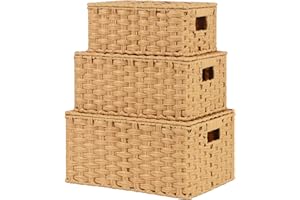 GRANNY SAYS Storage Basket with Lid, Set of 3 Wicker Baskets for Storage, Decorative Storage Boxes for Shelves, Woven Basket 