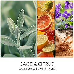 Sage &Citrus Scented Candles, Aromatherapy Jar