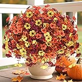 36 Bundles Artificial Fall Flowers Faux Mums Plants for Outdoor Indoor Decoration, Fake Silk Colorful Daisy UV Resistant Look Real No Fade for Front Door Porch Patio Yard Balcony Autumn Decor