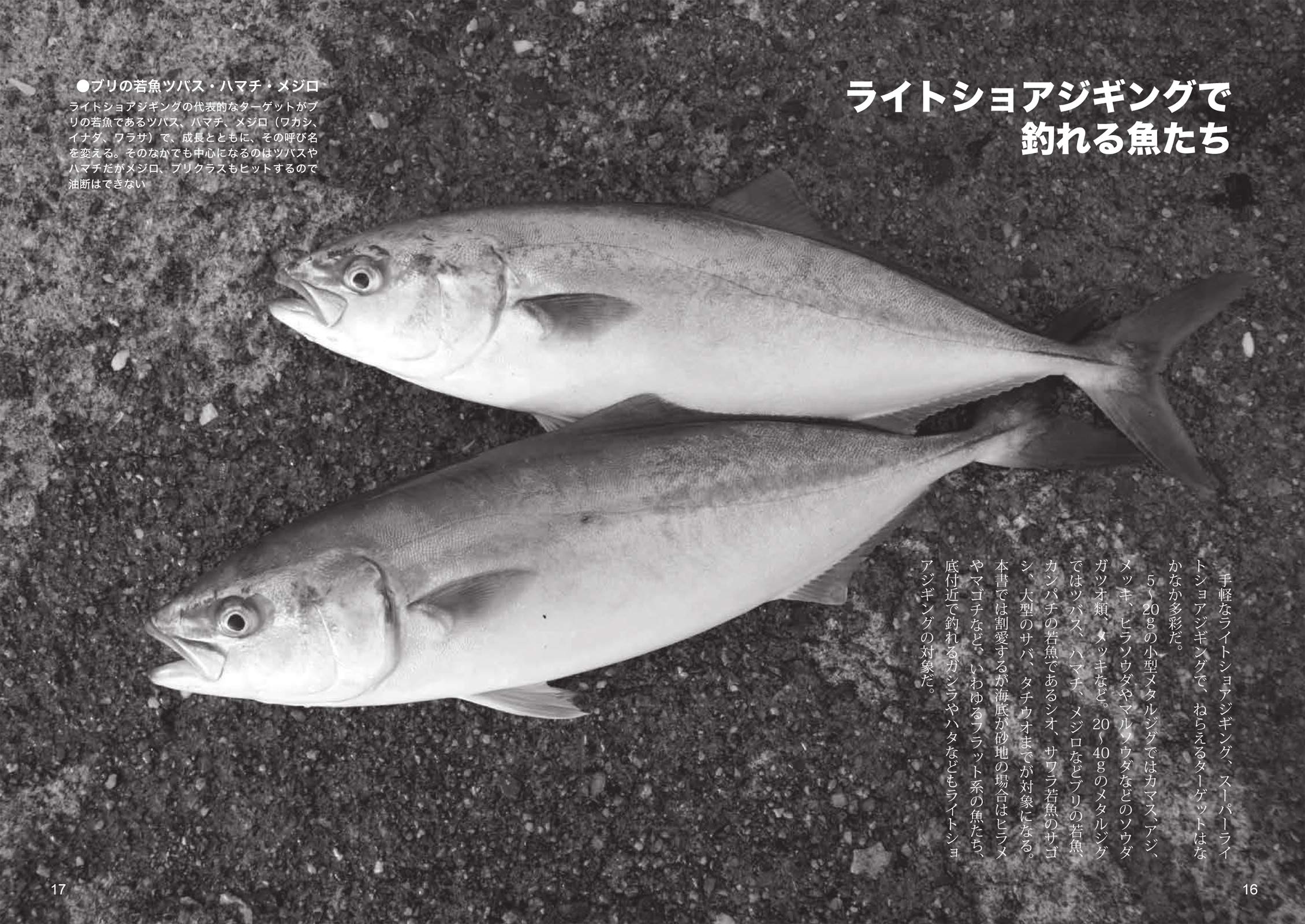ルアーで始めよう堤防の釣り お手軽ショアジギング丸わかりbook つり人社書籍編集部 本 通販 Amazon