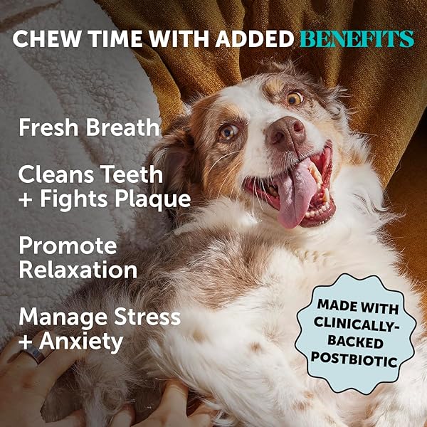 HEMP CALMING FRESH STICKS – DENTAL STICKS FOR DOGS – NATURAL DENTAL CHEWS, CALMING SUPPORT FOR DOGS, REDUCE HYPERACTIVITY AND ANXIETY, FRESHEN DOG BREATH, REDUCE PLAQUE + TARTAR – (30 CT)