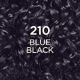 L'Oreal Casting Crème Gloss Semi-Permanent Hair Dye 210 Blue Black view 9