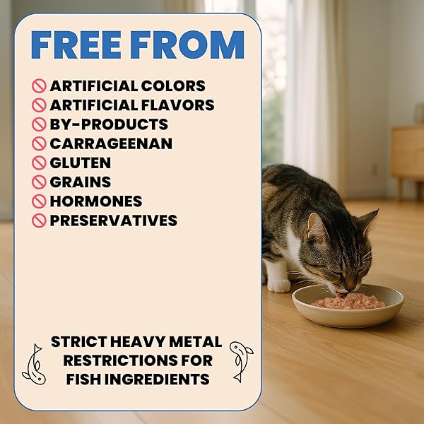 ALMO NATURE HQS COMPLETE CAT WET CAT FOOD MACKEREL RECIPE WITH SWEET POTATOES IN GRAVY – GRAIN-FREE CAT FOOD CANNED, 2.47 OZ (PACK OF 12)
