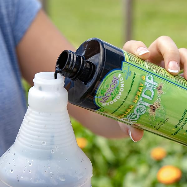 MICROBE LIFE HYDROPONICS PH21349 PREMIUM FOLIAR SPRAY & ROOT DIP, 32 OUNCE, GREEN