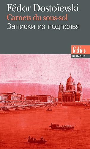 Download Carnets du sous-sol PDF