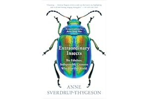 Extraordinary Insects: The Fabulous, Indispensable Creatures Who Run Our World