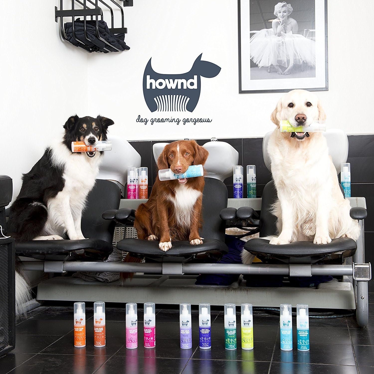HOWND Puppy Conditioning Shampoo 250ml, White, 250 ml (Pack of 1) - Image 5