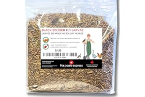 Dried Black Soldier Fly Larvae Chicken Treats for Chicken, Hens, Duck, Bird, Lizard, Tortoise - High Protein - 5 Pounds