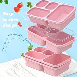 Bento Box for Adults and Snack Containers Set of 4