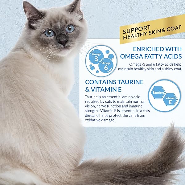 INABA CHURU LICKABLE PURÉE NATURAL CAT TREATS 0.5 OUNCES EACH, 24 TUBES (FOUR PER PACKAGE), TUNA RECIPE