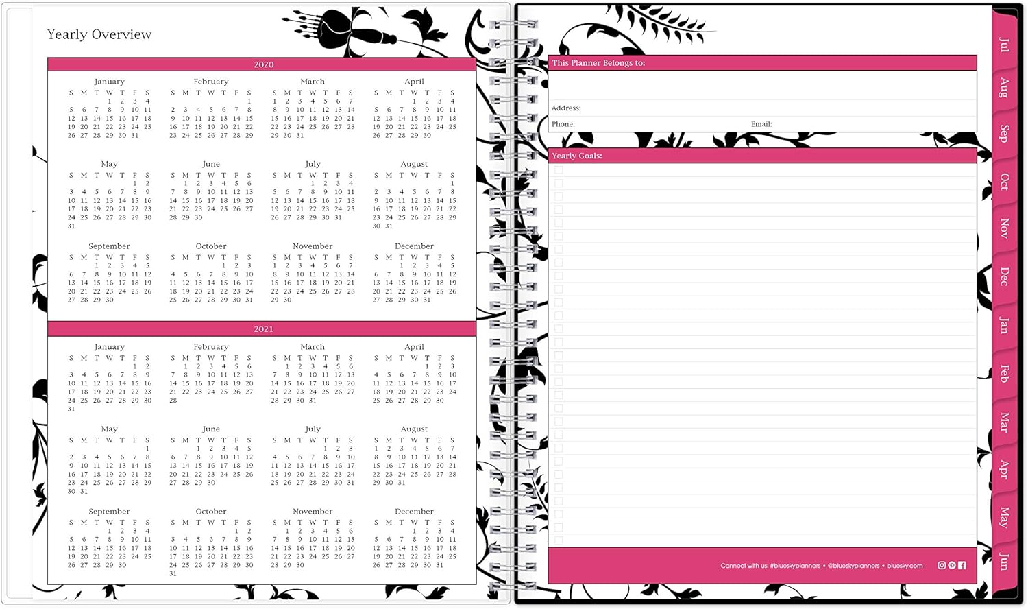 Blue Sky 2020-2021 Academic Year Monthly Planner, Flexible Cover, Twin-Wire Binding, 8" x 10", Analeis : Office Products