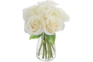 KaBloom PRIME NEXT DAY DELIVERY - Fall Collection - Bouquet of 6 Fresh Cut White Roses (Farm-Fresh, Long-Stem) with Vase. Gift for Birthday, Anniversary, Thank You, Mother’s Day Fresh Flowers.