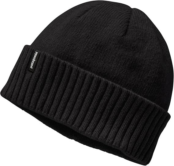 patagonia men's beanie hat