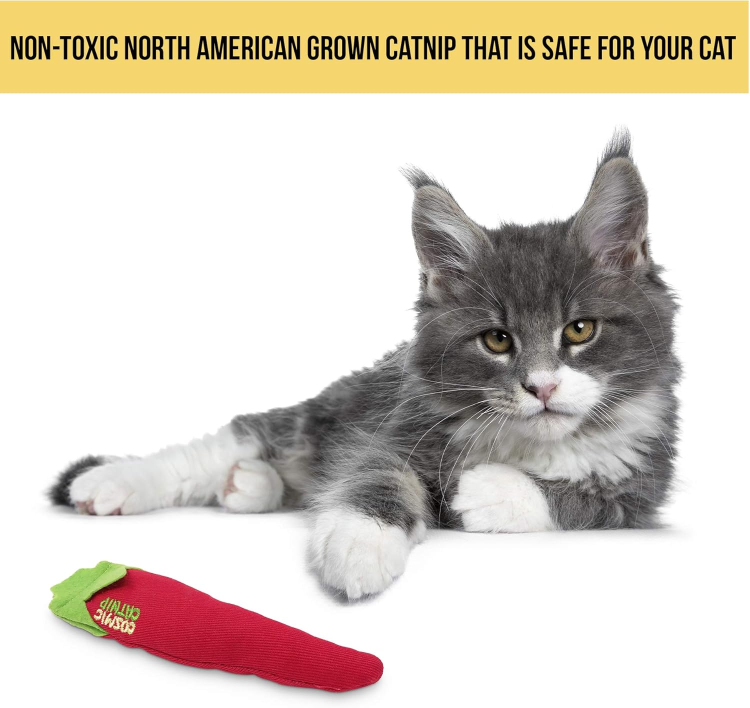 Cosmic OurPets 100-Percent North American Catnip Filled Chili Cat Toy-Hot Stuff (Interactive Cat Toy, Catnip Toys for Cats, Cat Chew Toy, Catnip Toys) : Cosmic : Pet Supplies
