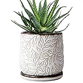 D'vine Dev 6 Inch Embossed Leaves Stoneware Planter Pot with Drainage Hole and Saucer, Smoked White, Set of 1, 27-A-X-1