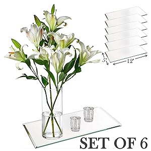 Rectangle Mirror Tray - Mirrors Glass Plates - 5 x 12 inch with 3 mm Beveled Edge - Great as Wedding and Party Table Centerpieces, Candle Plate Holder, Wall Décor. (Set of 6)