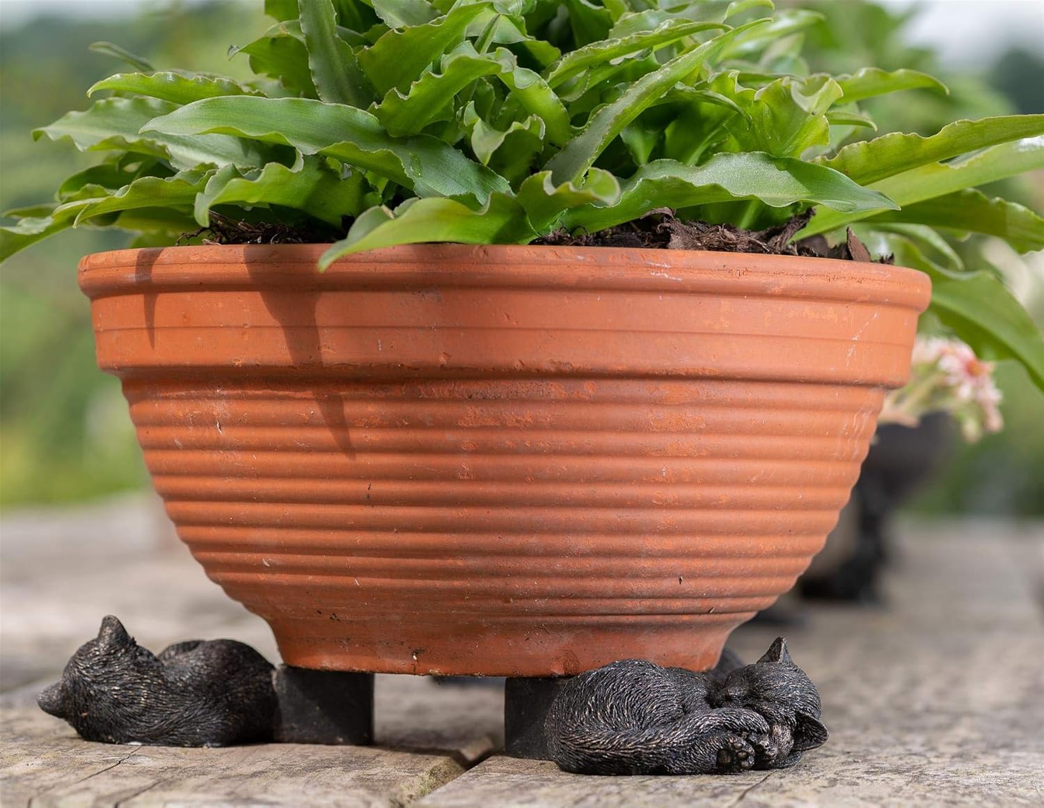 Potty Feet Sleeping Cat Curled Up Figures Plant Pot Feet - Planter Support - Handmade Decorative Ornaments - 3pcs - Image 4