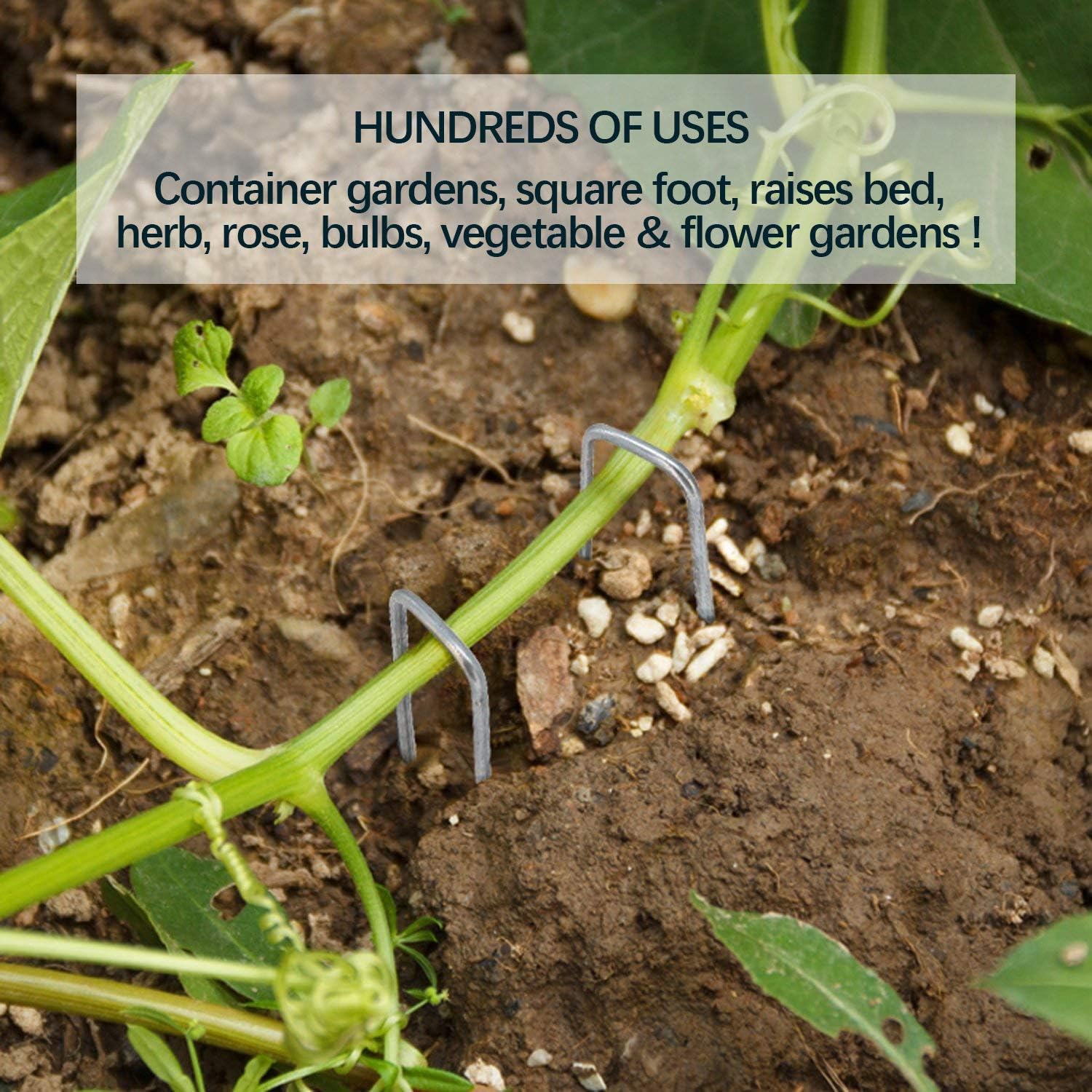 6'' 11 Gauge 100 Pack Heavy Duty U-Shaped Securing Stakes Pins Spikes - Sod Fence Staples for Anchoring Weed Barrier and Landscape Fabric, Netting, Irrigation Hoses, Ground Mat, More Applications : Home Audio & Theater
