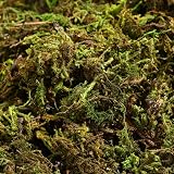 WINOMO Artificial Moss 60g Decorative Green Moss for DIY Landscaping view 8