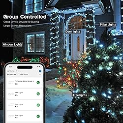Brizled Smart Christmas Lights, 196ft 600 LED Smart