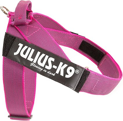 Julius k9 color and gray harness Clearance