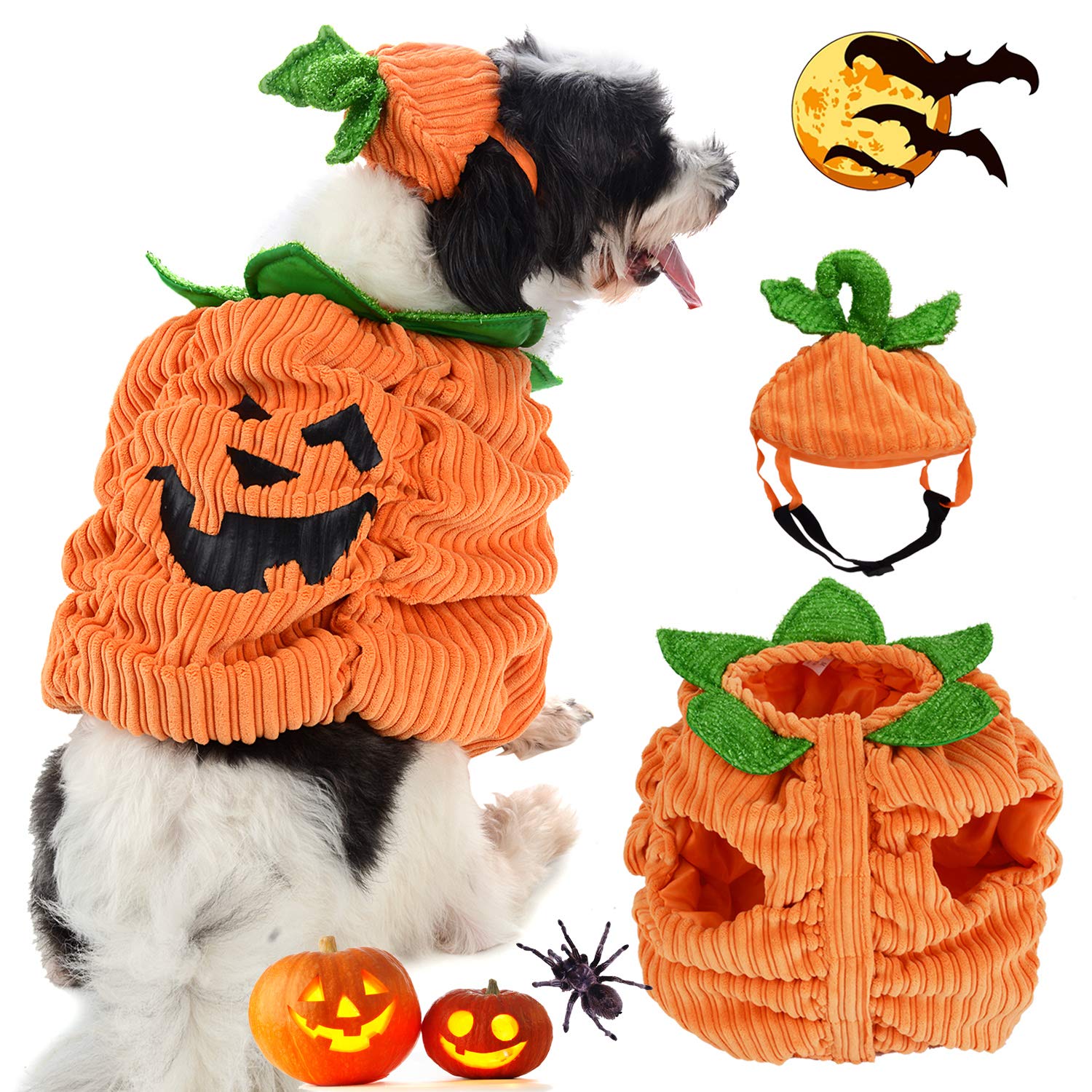 Legendog Dog Halloween Shirt, Pet Clothes, Cute Cat Dog Halloween Pumpkin Costumes, Dog Apparel, Halloween Costumes for Dogs, Creative Halloween Pumpkin Shirts for Dogs