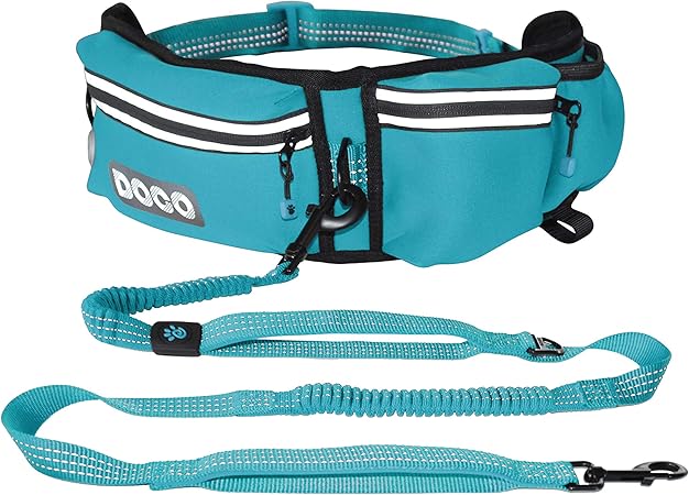 fanny pack dog leash