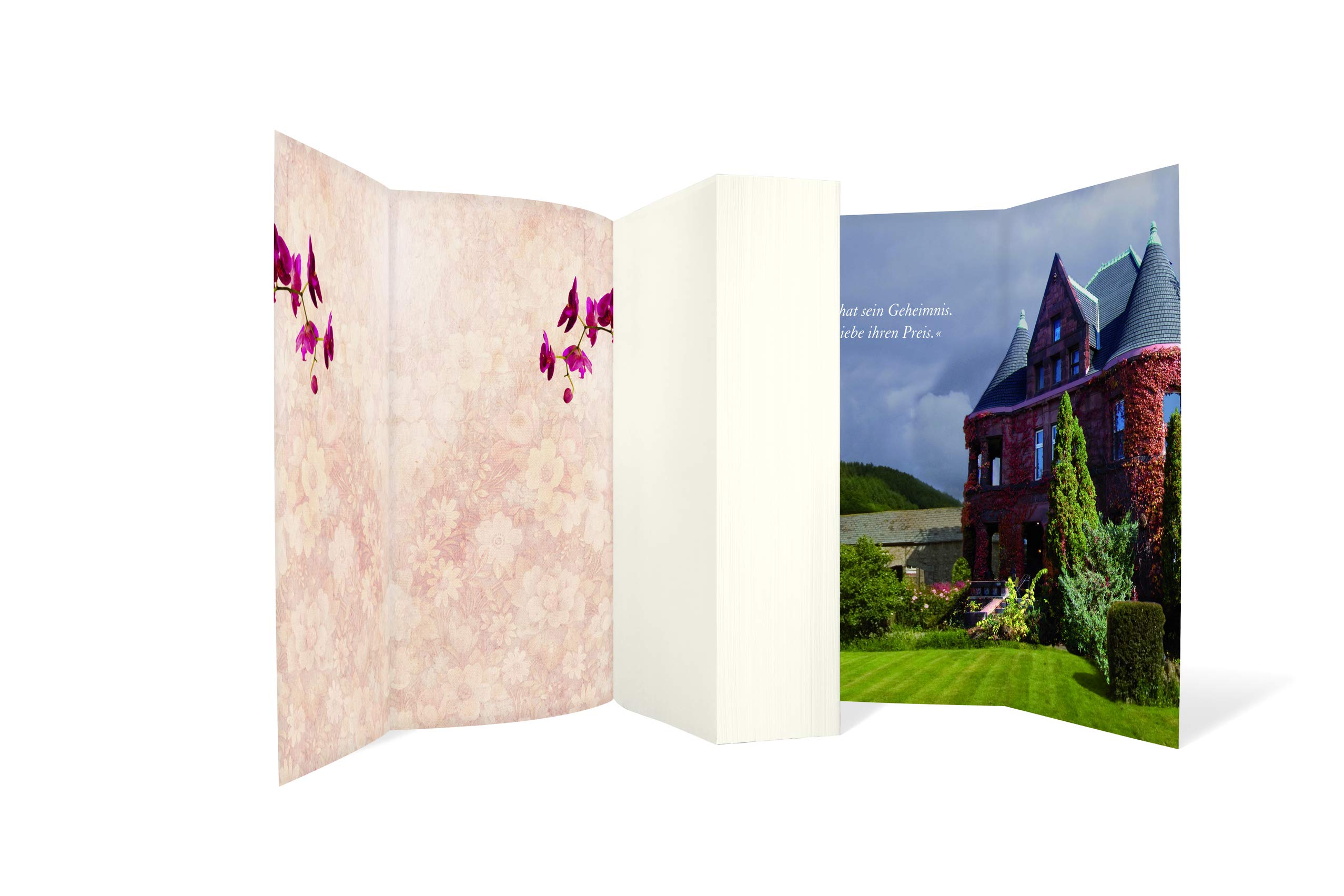 Das Orchideenhaus Amazon De Riley Lucinda Hauser Sonja Bucher