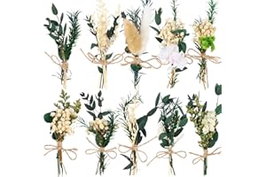 Auch 10 Pack Dried Flower Bouquets Mini Dried Flower with Stem Dried Embossing Natural Flower Bundles Artificial Flower Dried