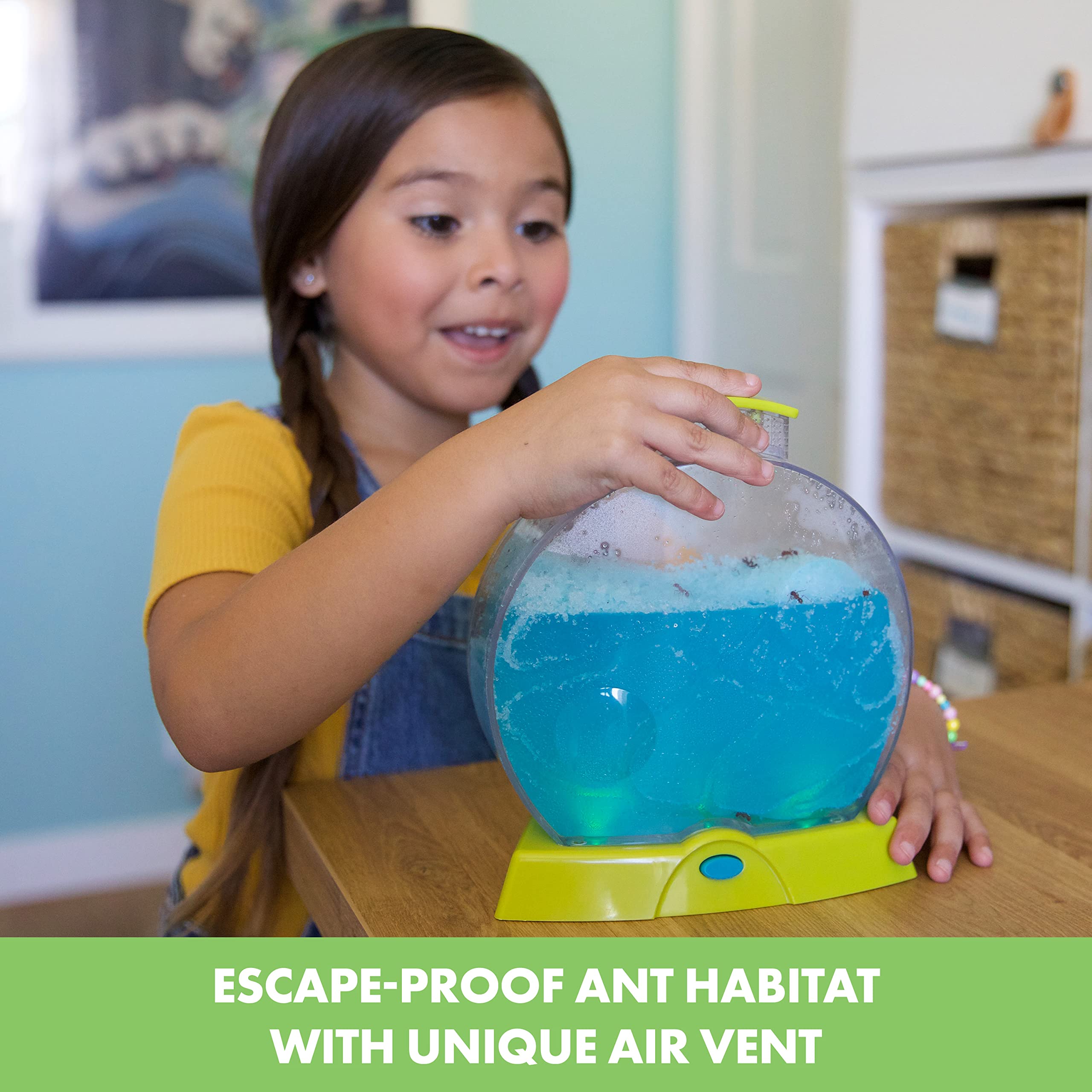 Educational Insights GeoSafari Day 'N' Night Ant Factory - Ant Farm with Live Ants, Kids Science Kit, at Home STEM Bug Kit, Light-Up Habitat for Viewing Ants, Starter Sets and Nature Toys for Ages 7+