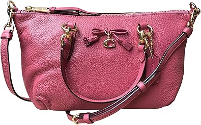 coach mini ally satchel
