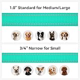 Joytale Padded Handle Dog Lead Double-Sided Reflective Nylon 1.2m Teal view 6