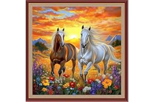 DMCXART Counted Cross Stitch Kits for Adults Needlepoint Kits Unprinted Cross Stitching Embroidery Kit 11CT Cross Stitch Supplies-Sunrise, Horse, Flower 18x18 inch