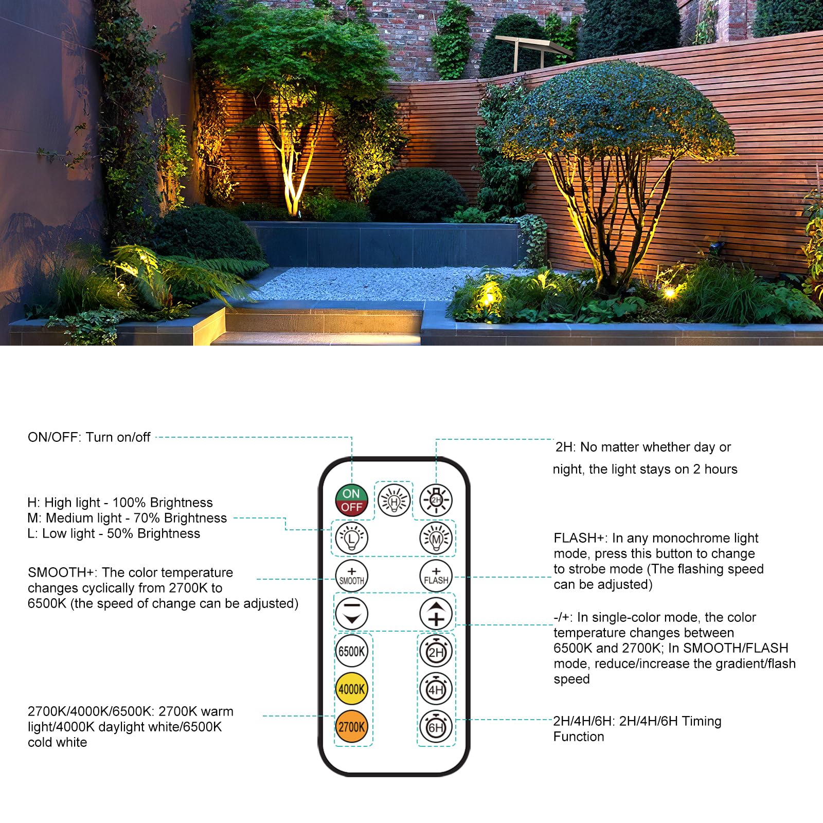 View 5